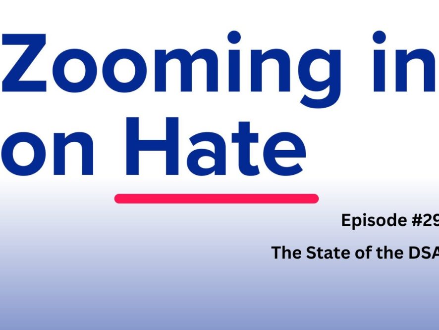 Zooming in on Hate: The State of the DSA